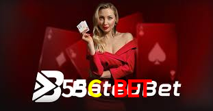 55C BET,55C.Com