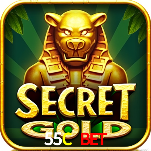 55C.Com
